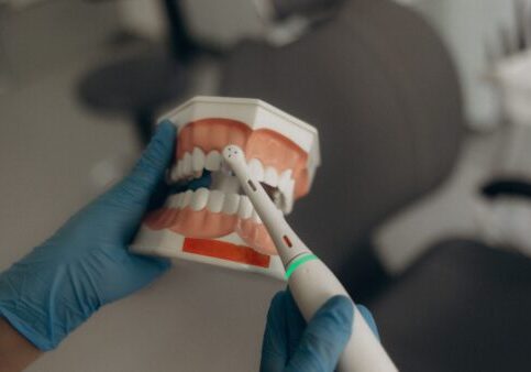 Close-up of a dental model held by gloved hands while a dental tool is used near the teeth, illustrating a dental exam/teaching scene